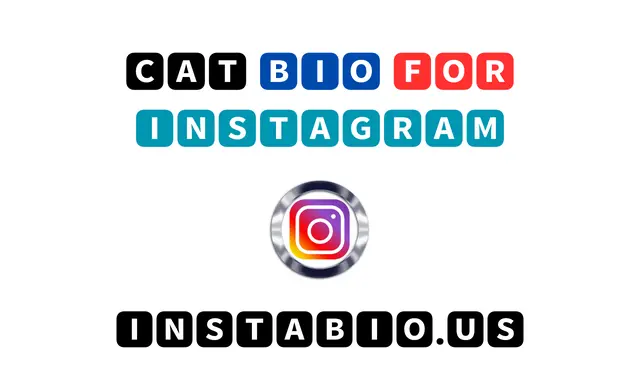 Cat Bio for Instagram 🐾