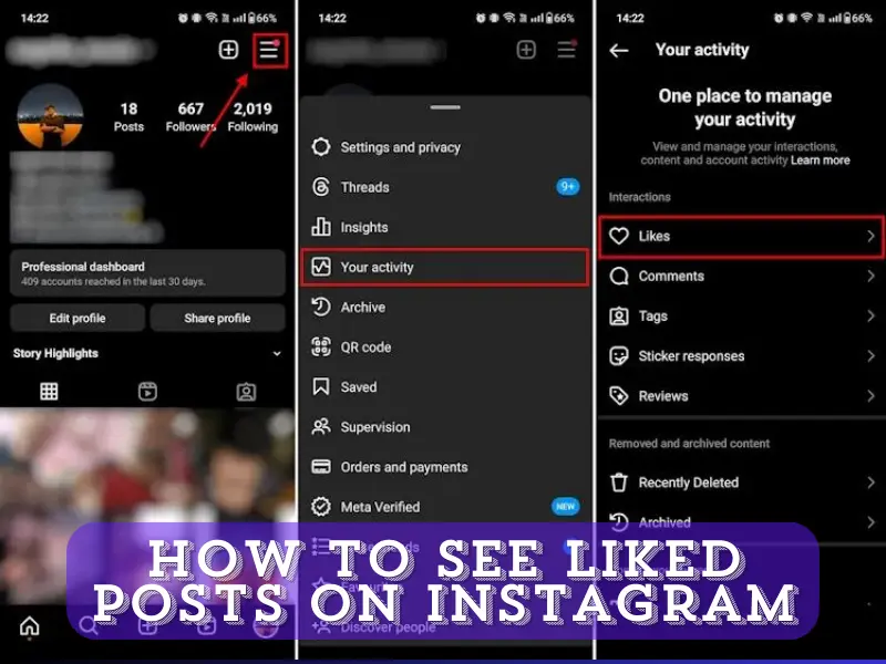 How to See Liked Posts on Instagram: Step-by-Step Guide (2024)