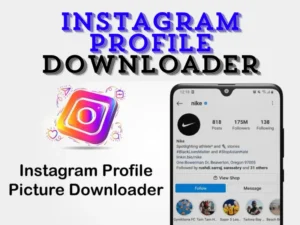 Instagram Profile Downloader: A Step-by-Step Guide to Downloading Instagram Profiles