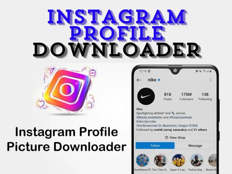 Instagram Profile Downloader: A Step-by-Step Guide to Downloading Instagram Profiles